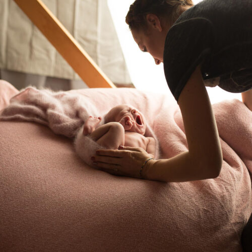 Portland Oregon Newborn Photographer, Erin Tole Adjusting baby on blush cushion